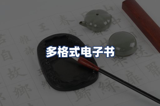 多格式电子书